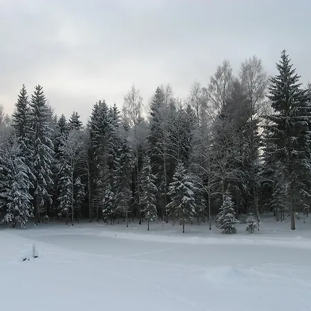 Dom wakacyjny Vaeike-paerna Otepää