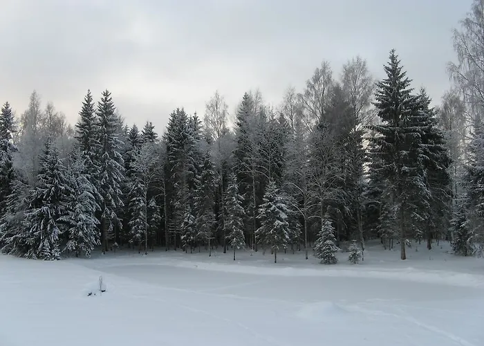 Holiday home Vaeike-paerna Otepaa